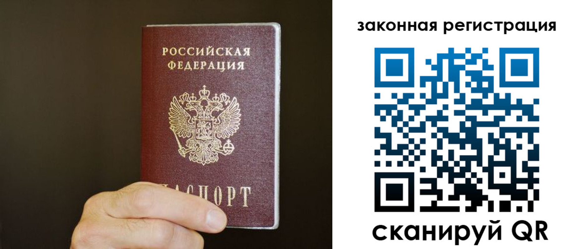 миграционный учет в Ельне